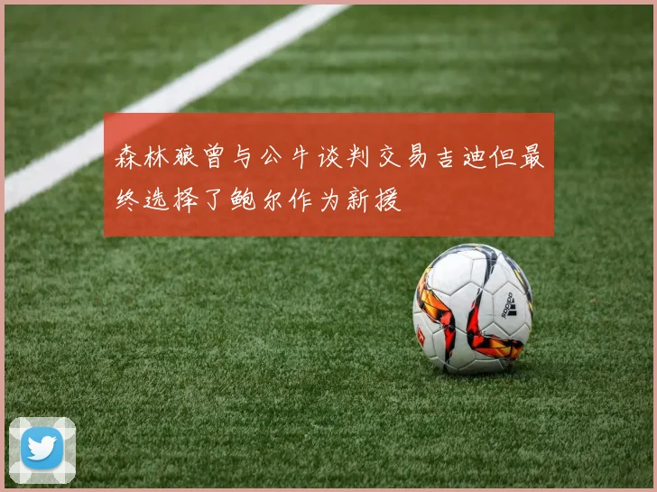 森林狼曾与公牛谈判交易吉迪但最终选择了鲍尔作为新援