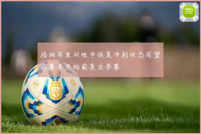 格纳布里训练中恢复冲刺状态有望在赛季开始前复出参赛