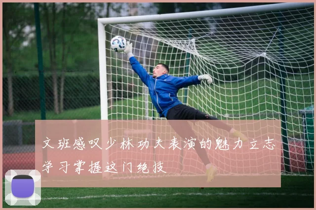 文班感叹少林功夫表演的魅力立志学习掌握这门绝技