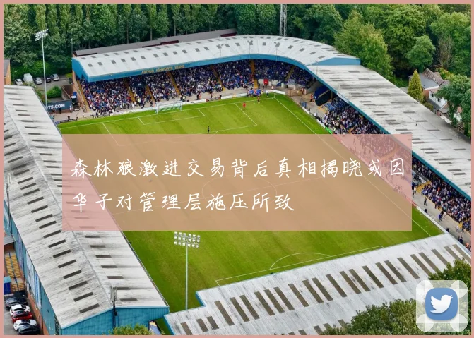 森林狼激进交易背后真相揭晓或因华子对管理层施压所致